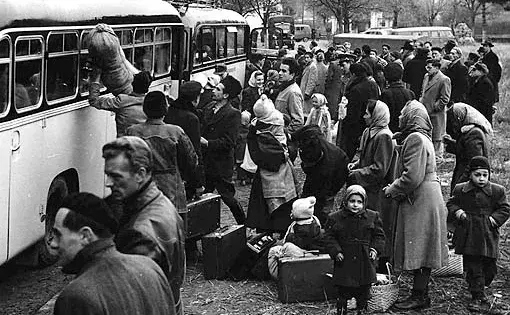 Ankunft im Lager Traiskirchen. Flüchtlinge mit Gepäck neben Autobussen.