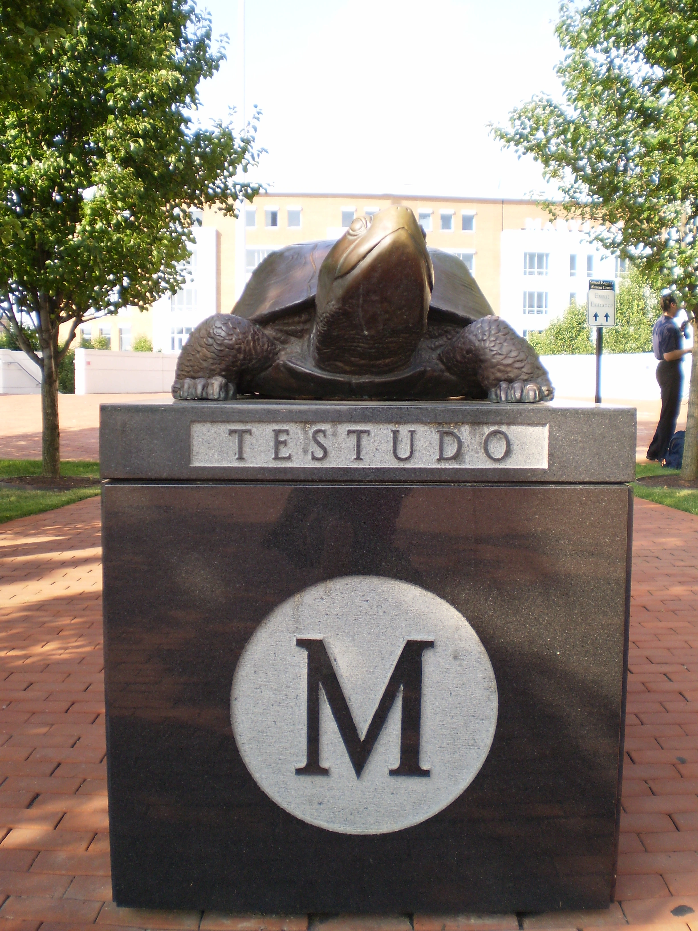 Testudo – Die Schildkröte – das Maskottchen der Universität von Maryland, an der Wolfgang Schleidt unterrichtete. 