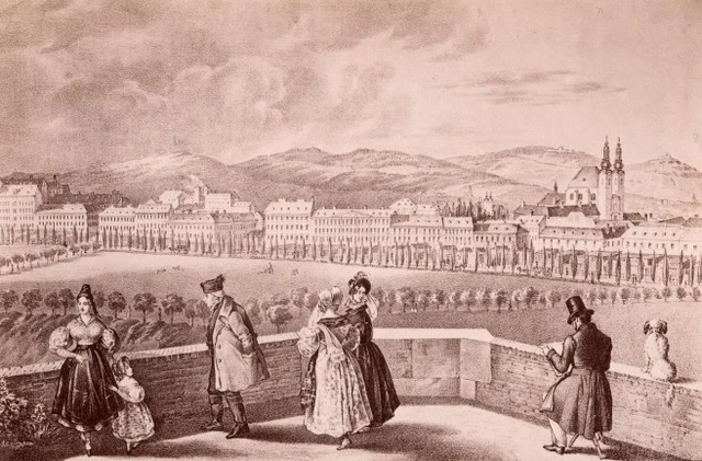 <p>Blick auf die Alservorstadt (um 1820)</p>