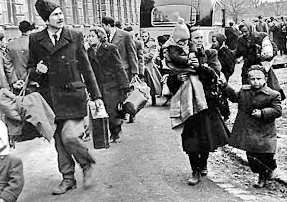 Ungarische Familien, die aus ihrer Heimat geflohen sind, treffen mit ihren Habseligkeiten im Lager Traiskirchen (NÖ) ein. Herbst 1956. Familien in Mänteln und mit Taschen und Koffern verlassen einen Autobus.