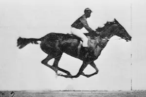 Abbildung eines Reiters auf seinem galoppierendem Pferd: The Horse in Motion von Eadweard Muybridge